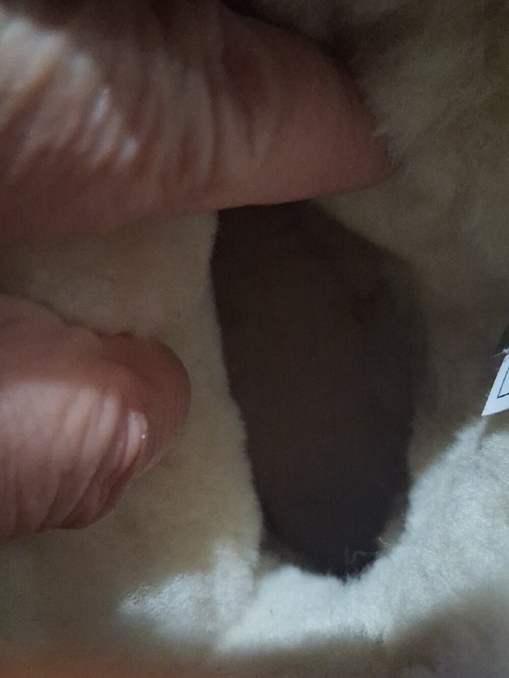 UGG Chestnut Brown Shearling-Lined Short Booties - Picture 10 of 16